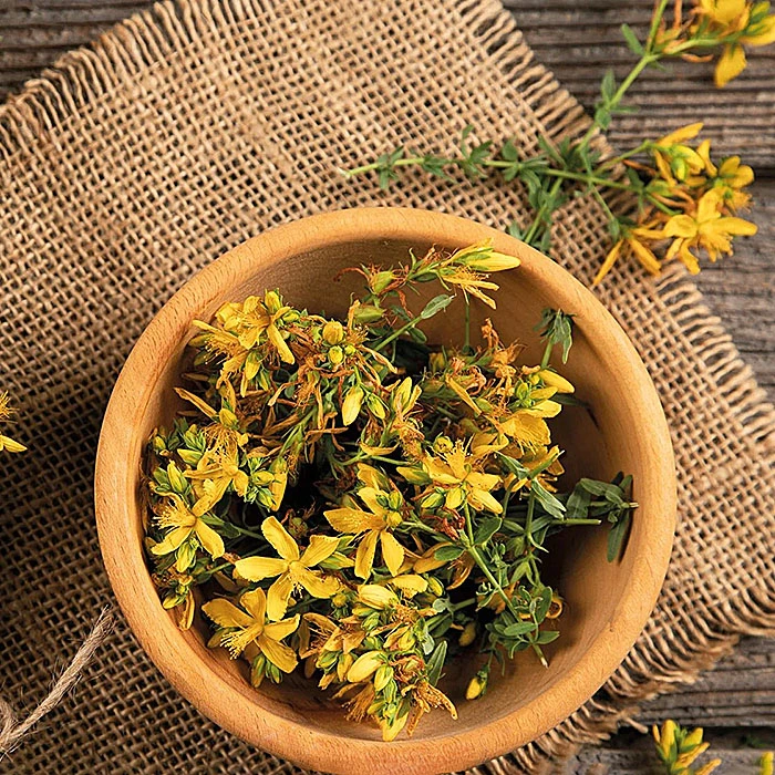 Lucía Contreras, La diabetes y sus remedios. Hipérico copia