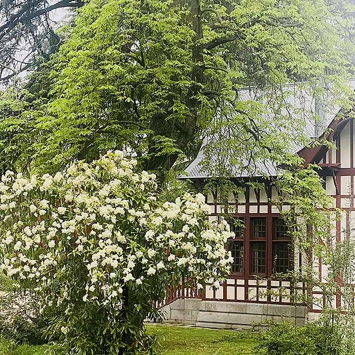 Alfonso-Becerra-Alvarez.-Verde-suave