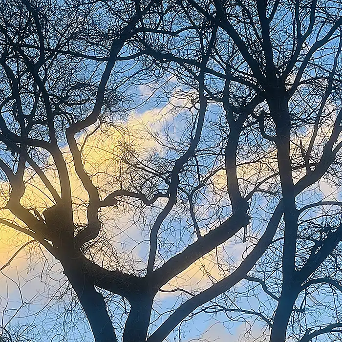 Alfonso Becerra Álvarez. De noche susurro copia